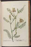  no thumbnail available