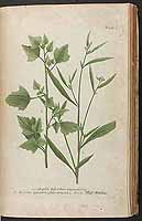  no thumbnail available