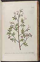  no thumbnail available