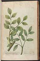  no thumbnail available