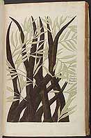  no thumbnail available