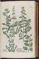  no thumbnail available