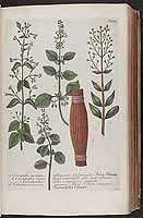  no thumbnail available