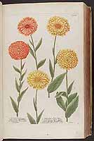  no thumbnail available