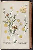  no thumbnail available