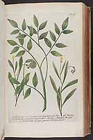  no thumbnail available