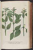  no thumbnail available