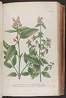  no thumbnail available