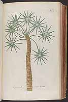  no thumbnail available