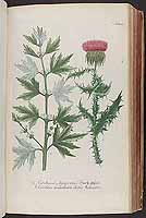  no thumbnail available