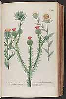  no thumbnail available