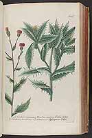  no thumbnail available