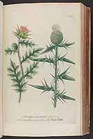  no thumbnail available