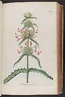  no thumbnail available