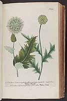  no thumbnail available