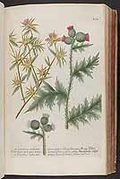  no thumbnail available