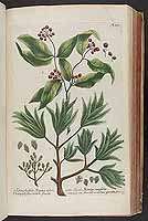  no thumbnail available