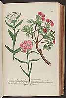  no thumbnail available