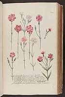  no thumbnail available