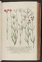  no thumbnail available