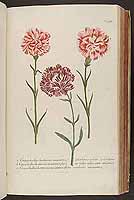  no thumbnail available