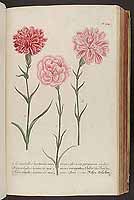  no thumbnail available