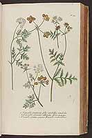  no thumbnail available