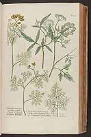  no thumbnail available