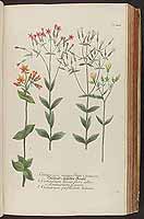  no thumbnail available