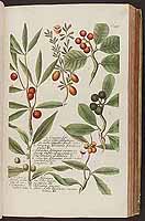  no thumbnail available