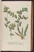  no thumbnail available