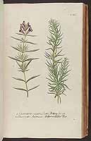  no thumbnail available