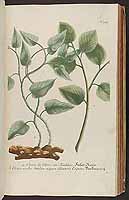  no thumbnail available