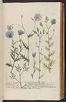  no thumbnail available