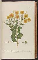  no thumbnail available