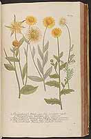  no thumbnail available