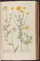  no thumbnail available