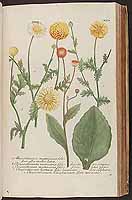  no thumbnail available