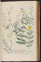  no thumbnail available