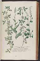  no thumbnail available