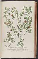  no thumbnail available