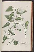  no thumbnail available