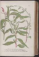  no thumbnail available