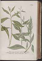  no thumbnail available