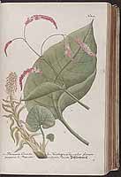  no thumbnail available