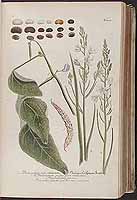  no thumbnail available