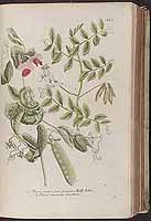  no thumbnail available