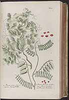  no thumbnail available