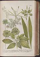  no thumbnail available