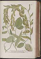  no thumbnail available